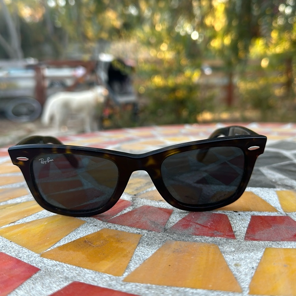 Wayfarer tortoise ray-ban glasses